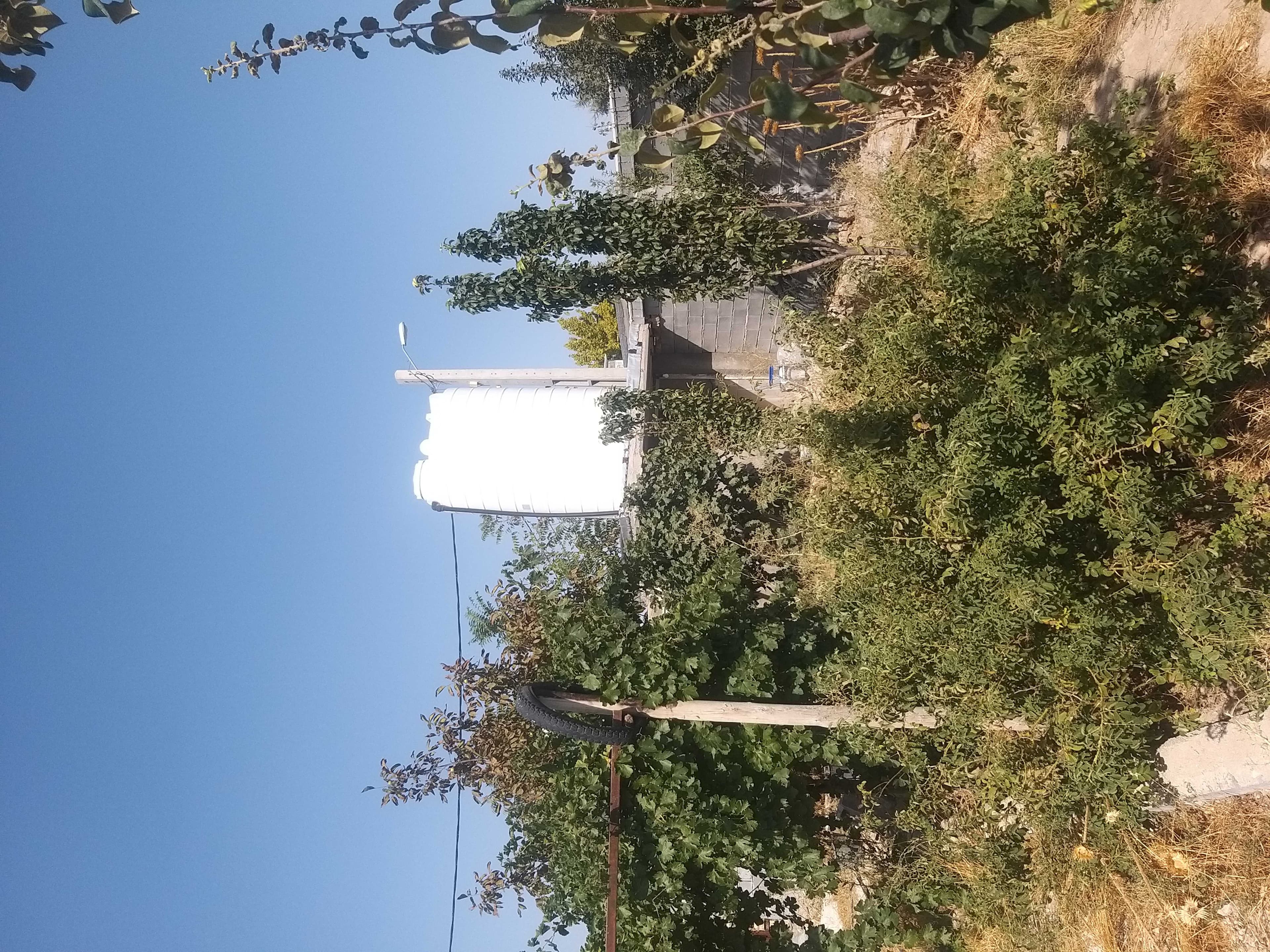 آگهی