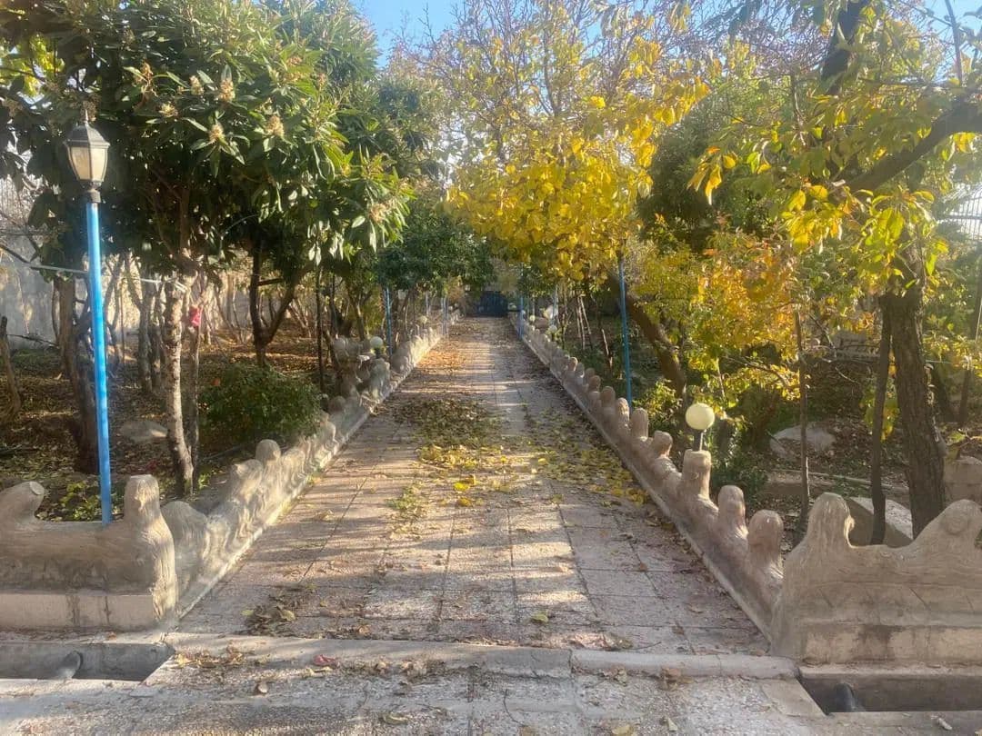 آگهی