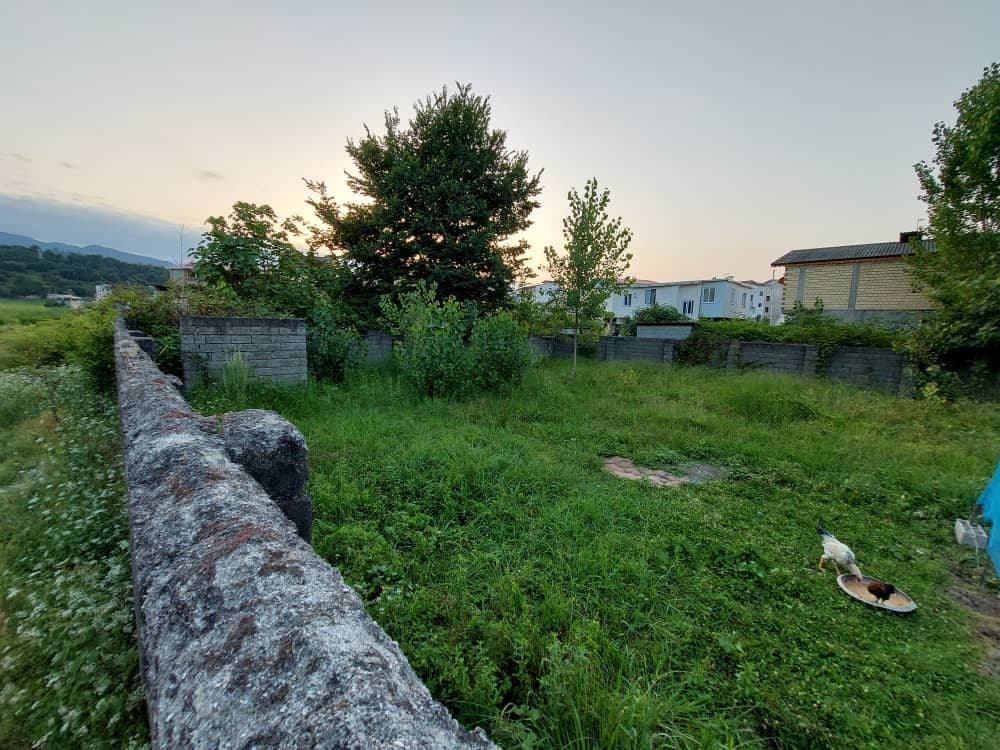 فروش زمین در شمال 